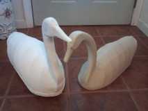 2decoys