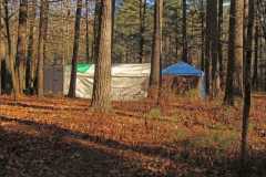 Nov Camp 12