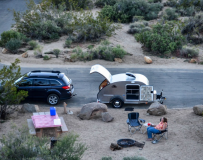 Joshua Tree campsite 82