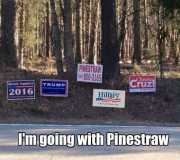 pinestraw