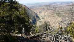 Dinosaur National Park