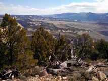 Dinosaur National Park