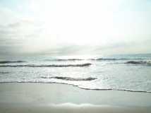 Early morning along the beach....Fort Clinch, FL