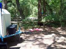 A quick shot of our flamingos.....