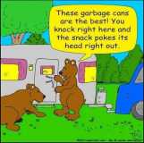 bears and camper