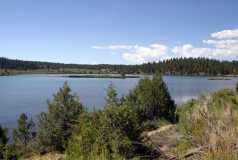 Pine Lake