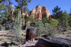 Hiking Pink Cliffs trail