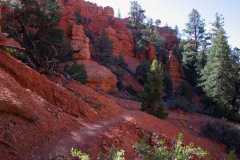 Hiking Pink Cliffs trail