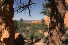 Hiking Pink Cliffs trail