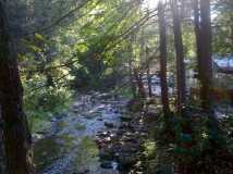 Sunrise from Our Deck at Mountain Stream RV