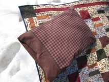 Pillow for Teardrop Quilt