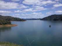 Shasta Lake...pretty full..!!!