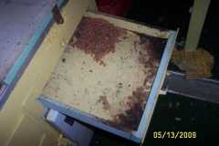 stove area drawer w/ mouse nest and other lovely leftovers