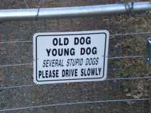 Dog sign