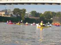 Paddle for the Cure 2008