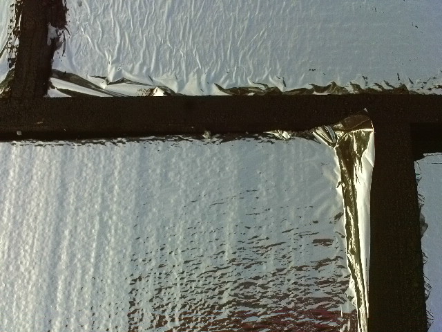 IMAG0032.JPG