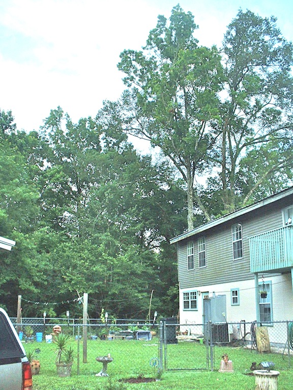 DSCF0083.JPG