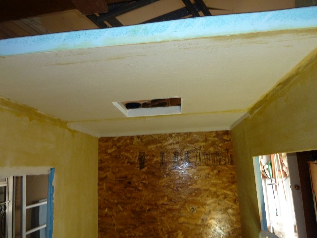 Inside roof  canvas 1.jpg