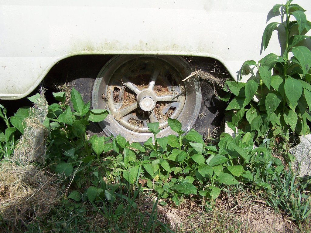 Trailer wheel.jpg