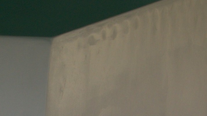 Radius.jpg