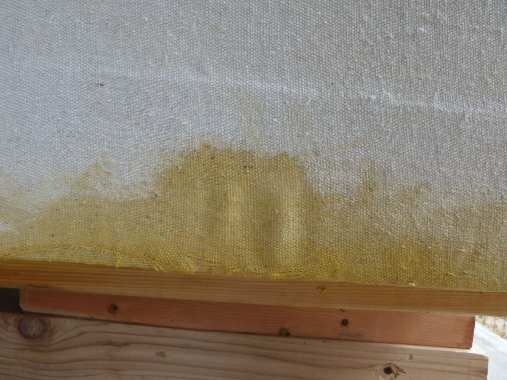 Canvas bubble 1.jpg