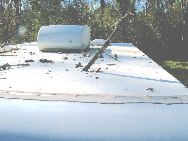 DSCF0005.jpg