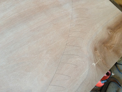 Trace the Profile.jpg