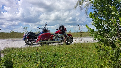 bikes.jpg
