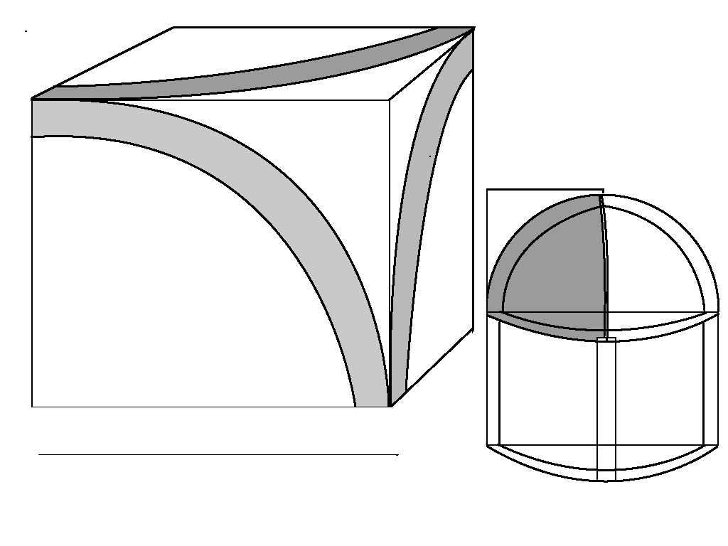 FS nose .png