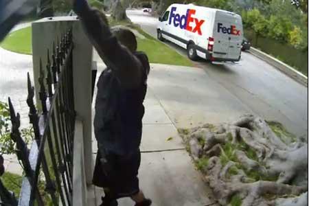fedex.jpg