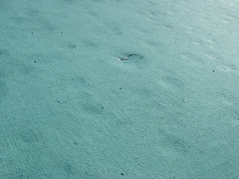 DSCF0024.JPG