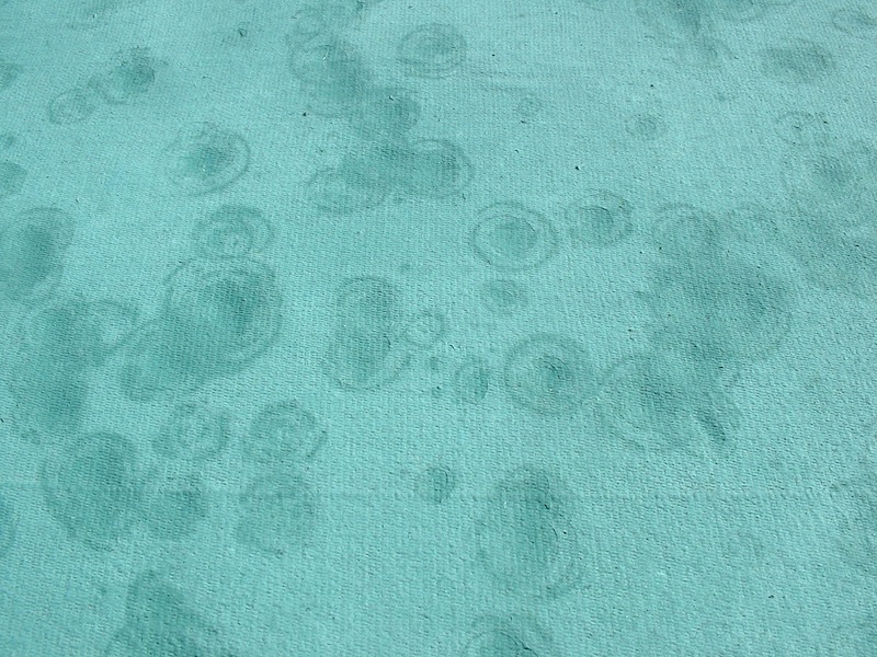 DSCF0028.JPG