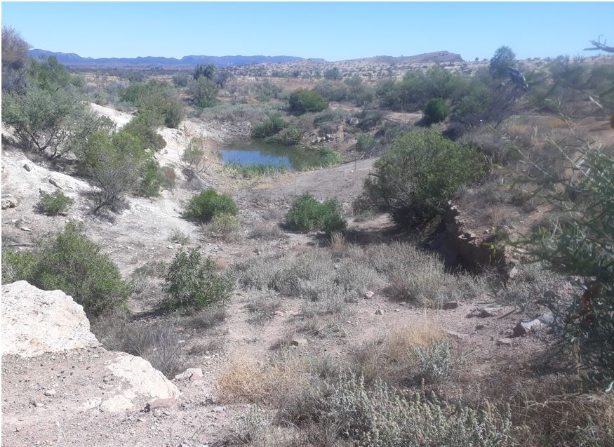 Roadside spring South of Blinman.JPG