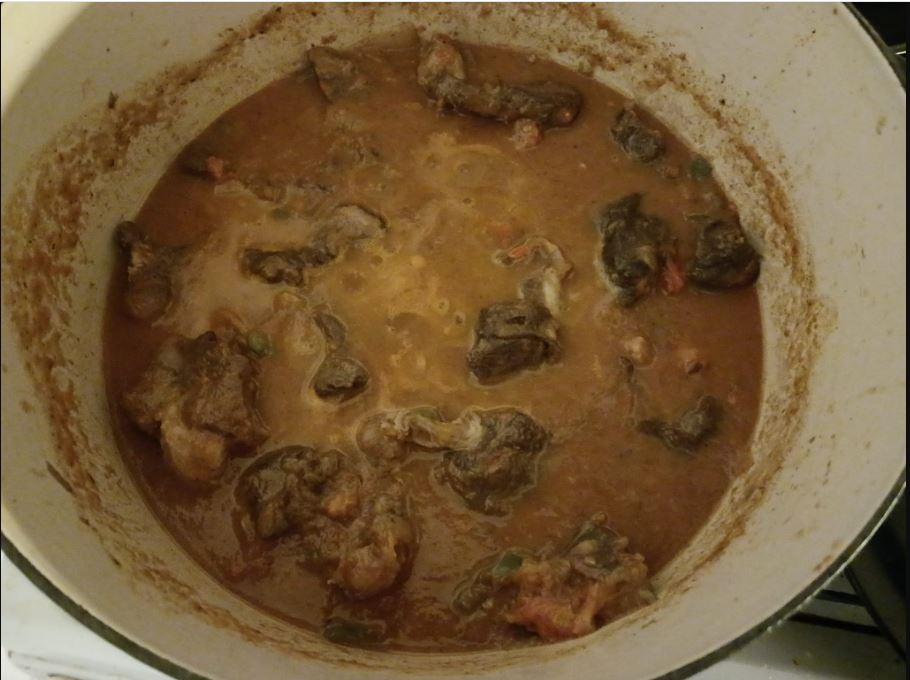 Camel Stew.JPG