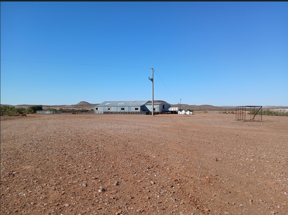 Shearing shed from the shearers quarters.jpg