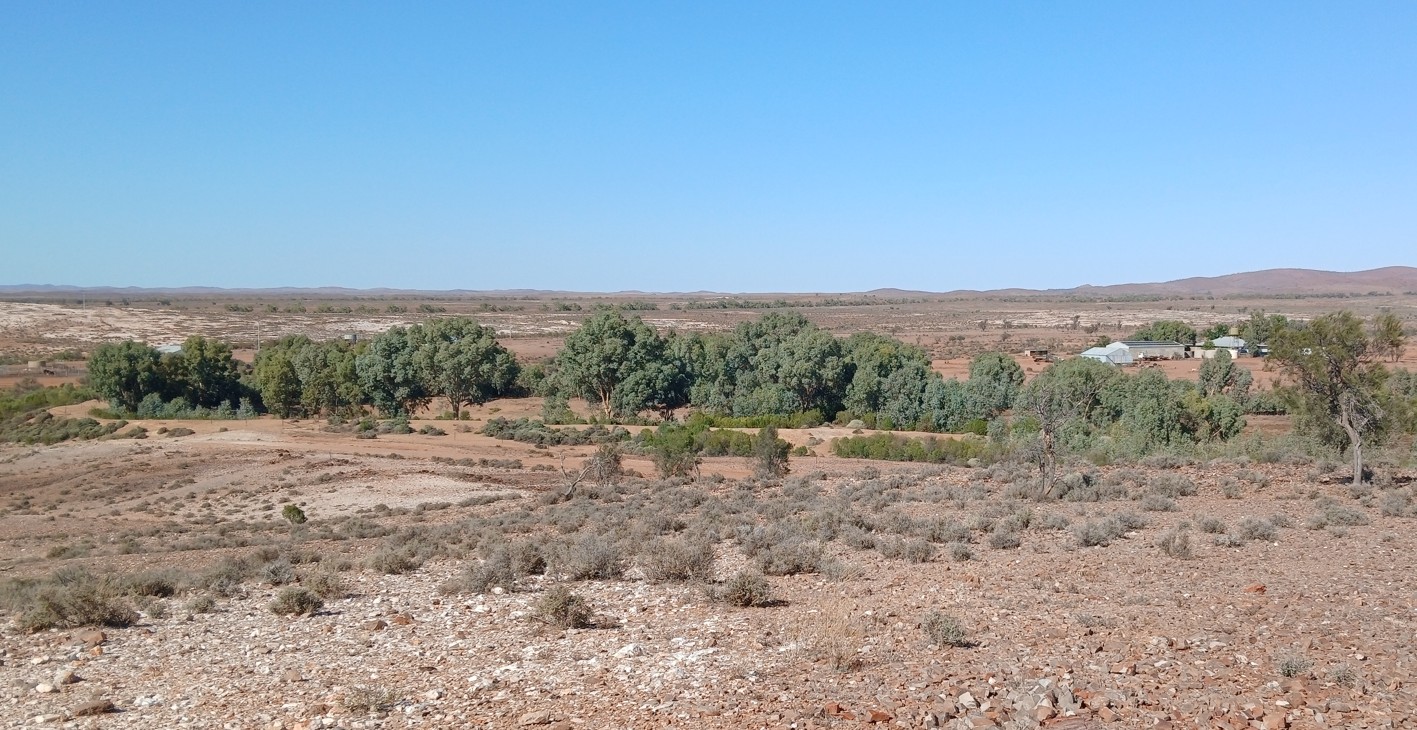 Looking over the dam to the homestead woolshed on left.jpg