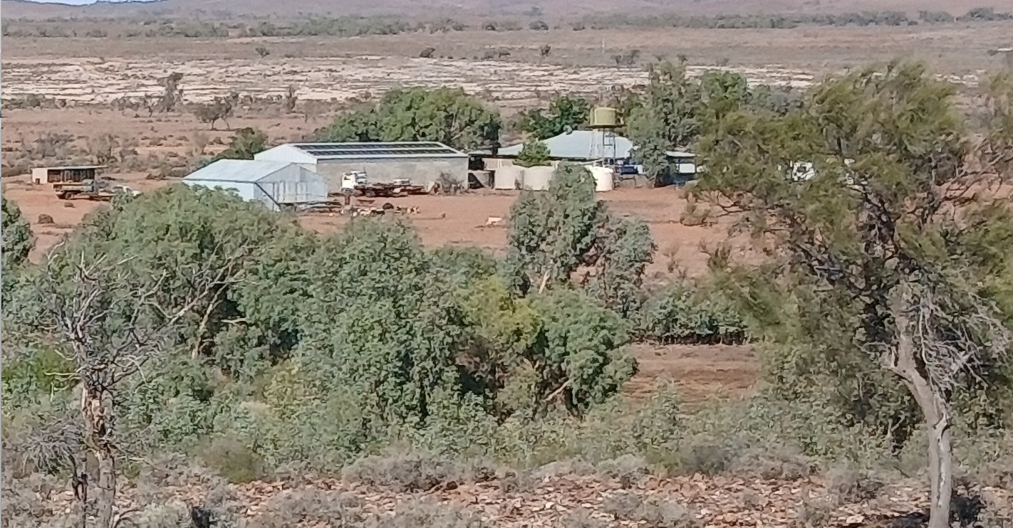 Oasis.jpg