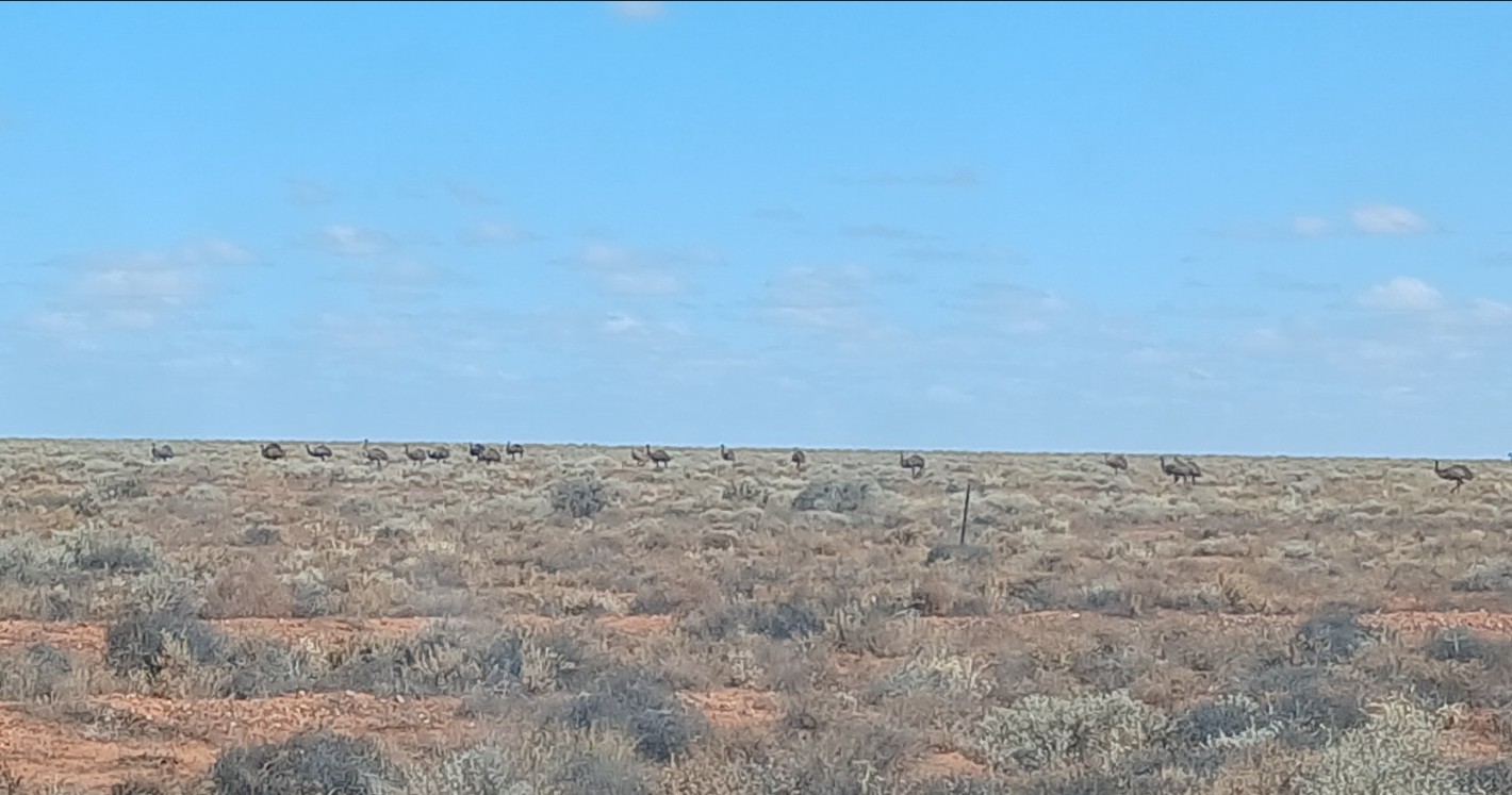 Running haystacks.jpg
