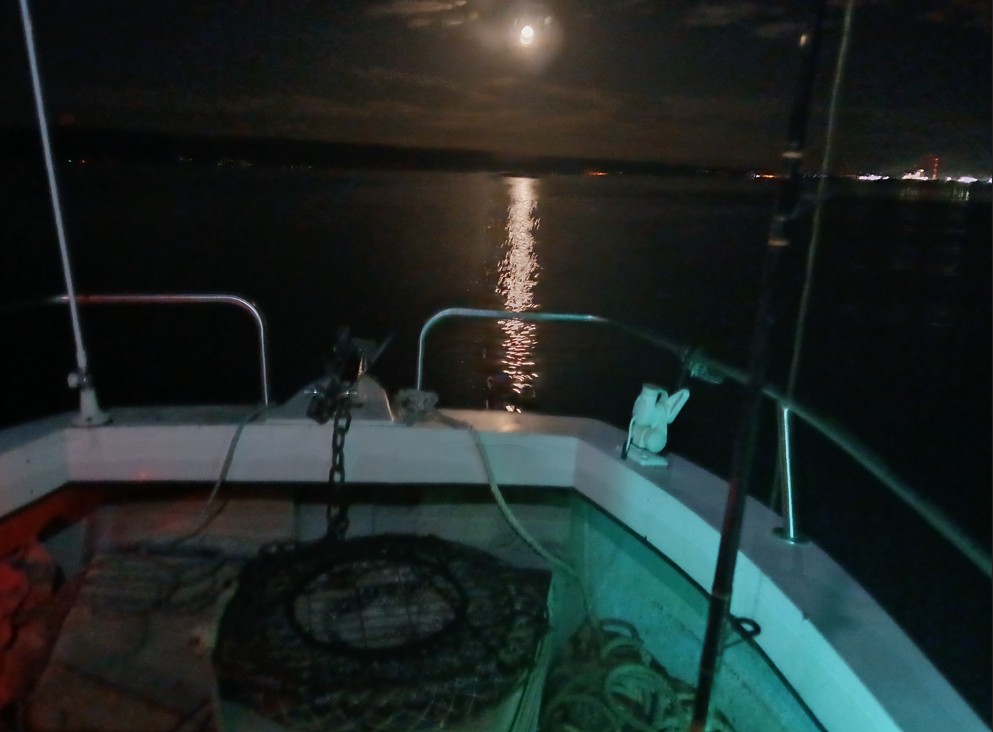 heading for port.jpg