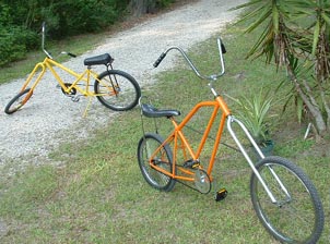 bikes.jpeg