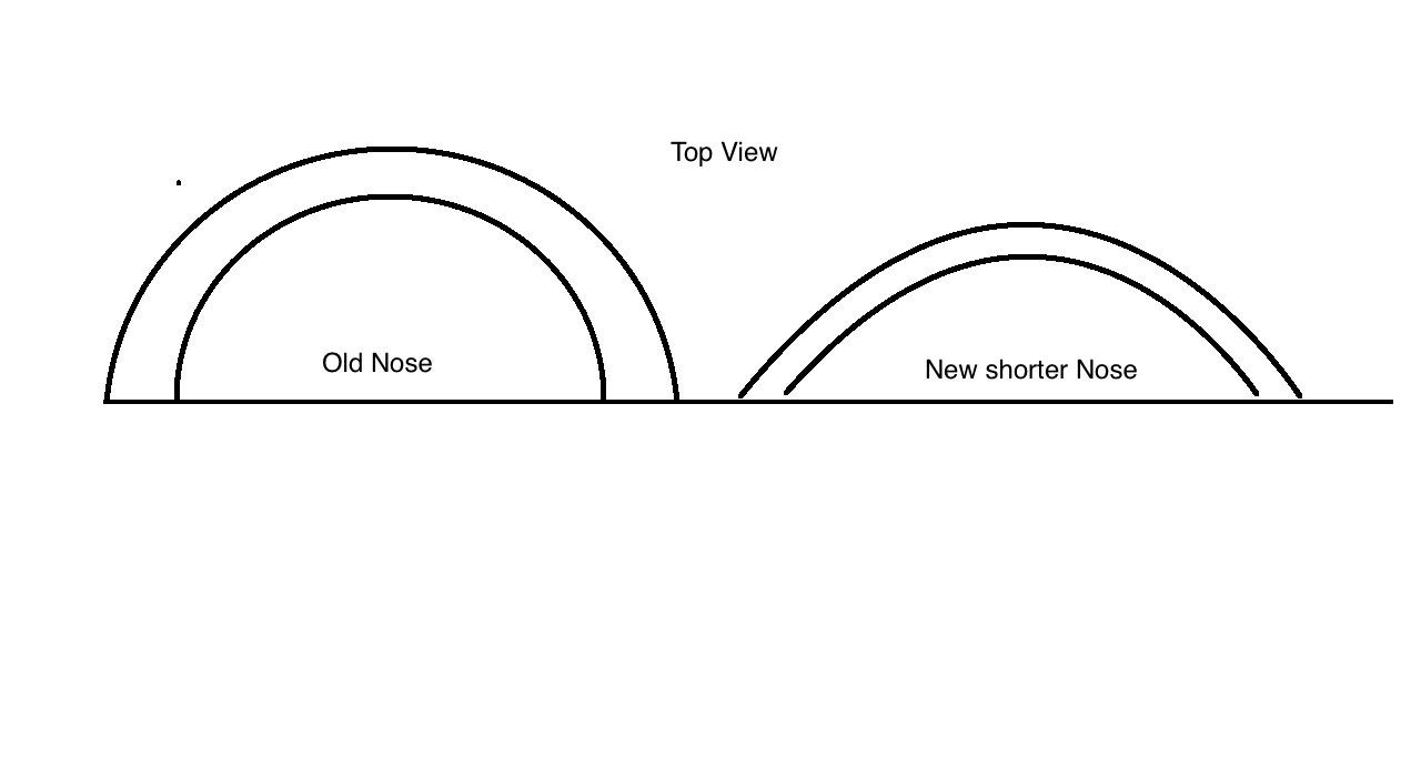 FSnewnose.png