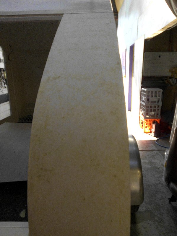 DSCI0993.jpg