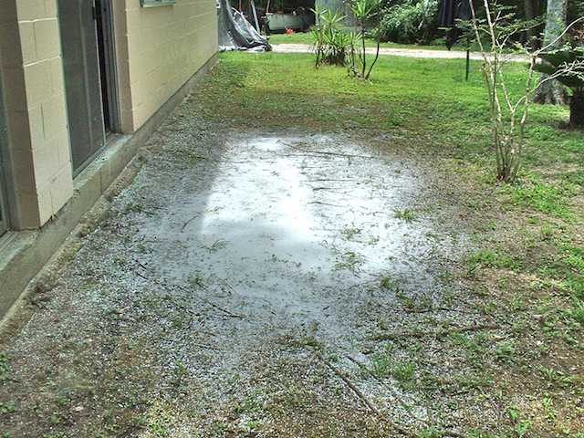 DSCF0031.JPG