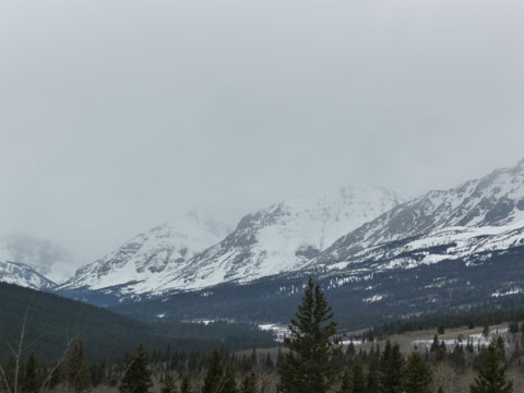 P1040999-1.jpg