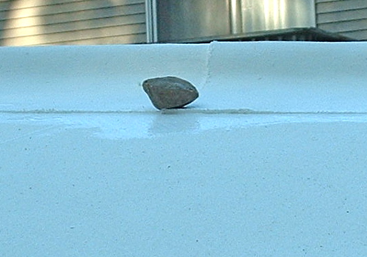 DSCF0118.JPG