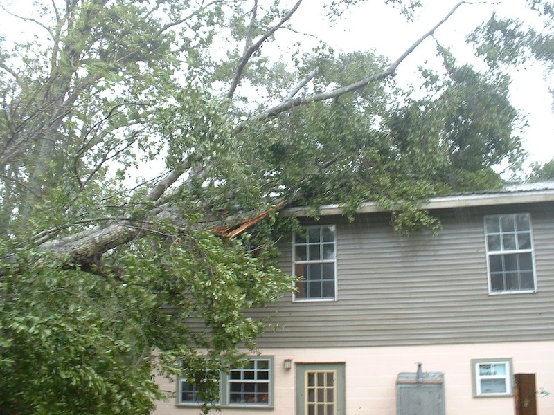 DSCF0023.jpg