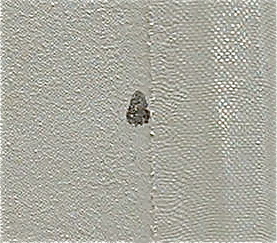 DSCF0024.JPG