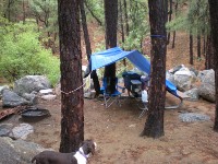Cow Creek Springs, Az 033 (200x150).jpg