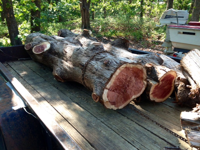 cedar.jpg