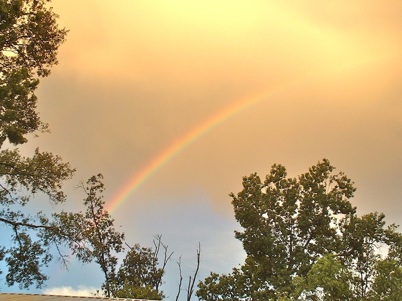DSCF0087.JPG